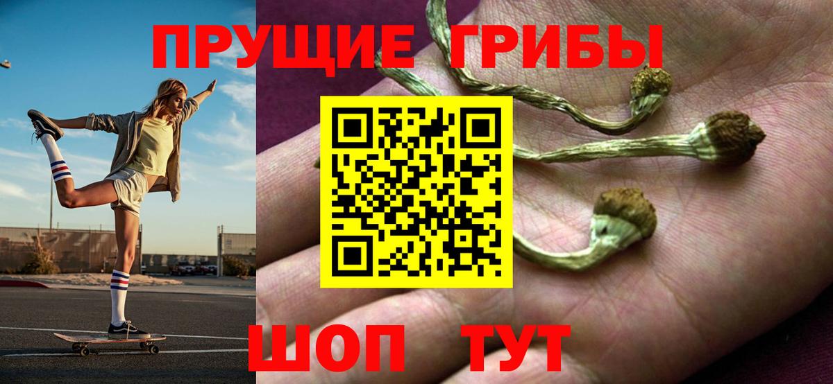 Галлюциногенные грибы Psilocybe  Вход с VPN  Сорочинск 